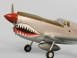 Preview: PH137 Phoenix P40 Kitty Warhawk 20CC GP/EP ARF - 161 cm